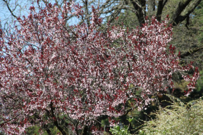 ir-130501_10070_12-41.jpg