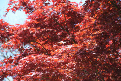 ir-130501_10071_12-43.jpg