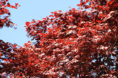 ir-130501_10073_12-46.jpg