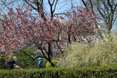 ir-130501_10074_12-48.jpg