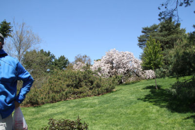 ir-130501_10081_13-00.jpg