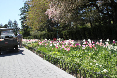 ir-130501_10083_13-12.jpg