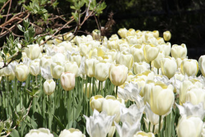 ir-130501_10085_13-15.jpg