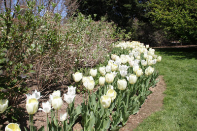 ir-130501_10086_13-16.jpg