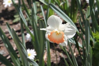 ir-130501_10087_13-17.jpg