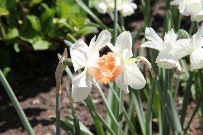 ir-130501_10088_13-17.jpg