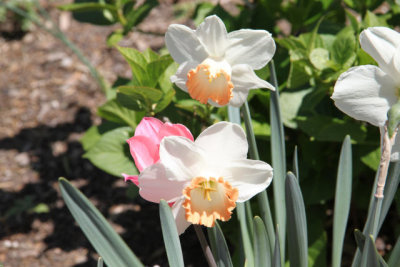 ir-130501_10089_13-17.jpg