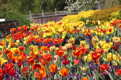 ir-130501_10094_13-18.jpg