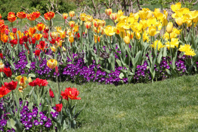 ir-130501_10095_13-19.jpg