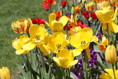 ir-130501_10104_13-21.jpg
