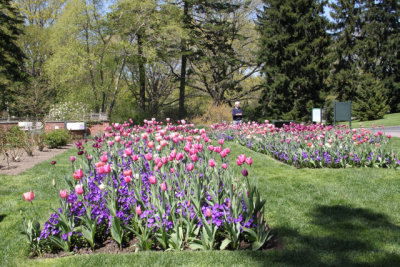 ir-130501_10106_13-22.jpg