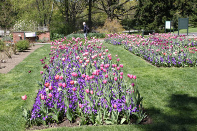 ir-130501_10107_13-22.jpg