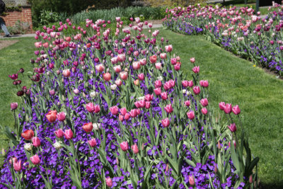 ir-130501_10109_13-22.jpg