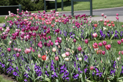 ir-130501_10110_13-22.jpg