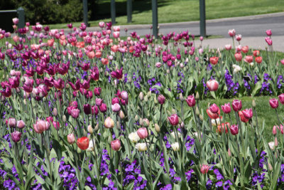 ir-130501_10111_13-22.jpg