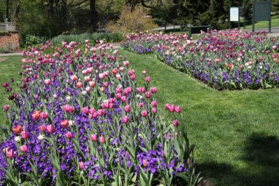 ir-130501_10112_13-23.jpg