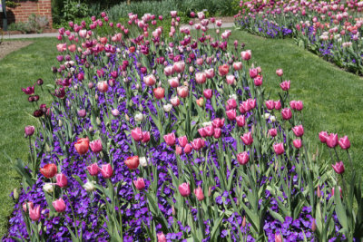 ir-130501_10113_13-23.jpg