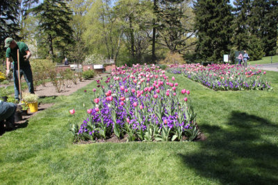 ir-130501_10114_13-23.jpg