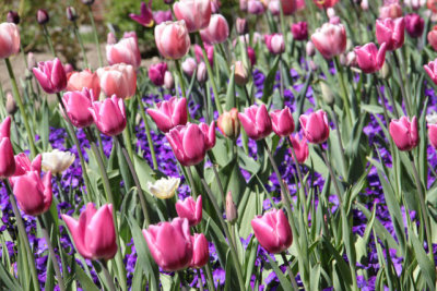 ir-130501_10115_13-23.jpg