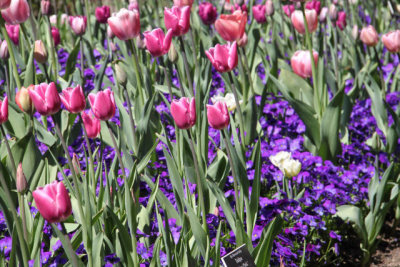 ir-130501_10116_13-24.jpg