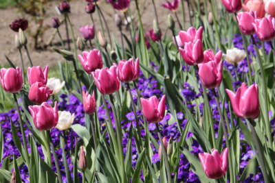 ir-130501_10117_13-24.jpg