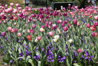 ir-130501_10118_13-24.jpg