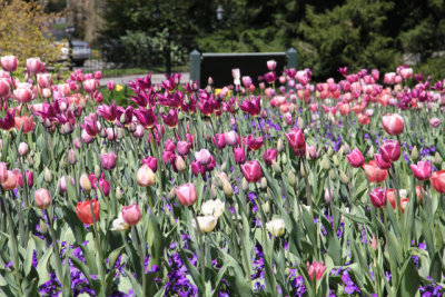 ir-130501_10119_13-24.jpg