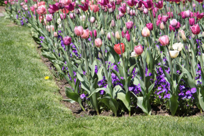 ir-130501_10120_13-24.jpg