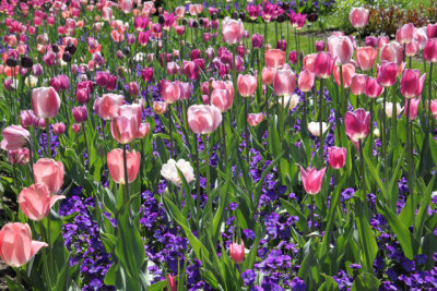 ir-130501_10123_13-25.jpg