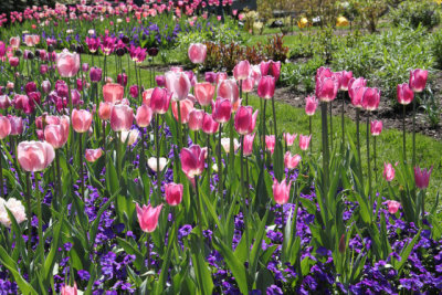ir-130501_10124_13-25.jpg