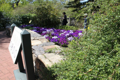 ir-130501_10127_13-26.jpg