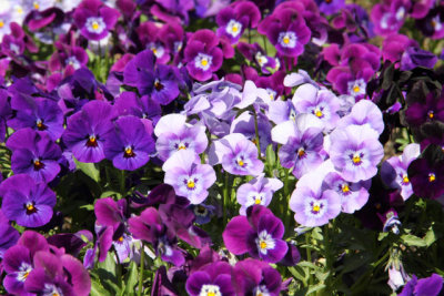 ir-130501_10130_13-27.jpg