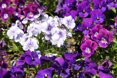 ir-130501_10131_13-28.jpg