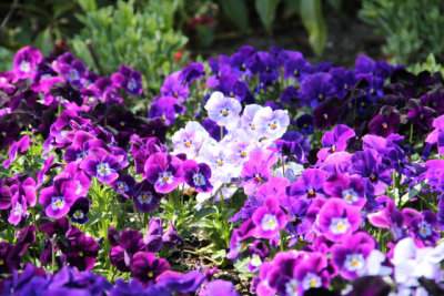 ir-130501_10135_13-28.jpg