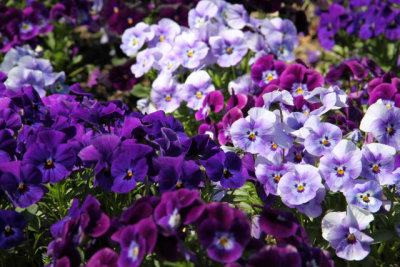 ir-130501_10137_13-28.jpg