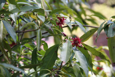 ir-130501_10143_13-30.jpg
