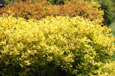 ir-130501_10146_13-32.jpg