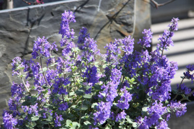 ir-130501_10151_13-51.jpg