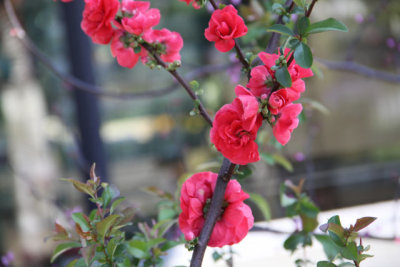 ir-130501_10152_13-51.jpg