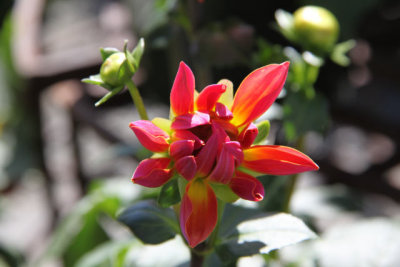 ir-130501_10160_13-53.jpg