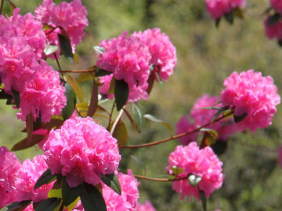 ir-130501_09933_11-24L.jpg