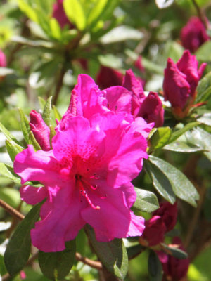 ir-130501_09935_11-24P.jpg