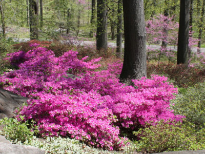 ir-130501_09939_11-28L.jpg