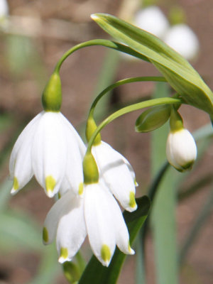 ir-130501_09944_11-29P.jpg