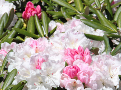 ir-130501_09952_11-32L.jpg