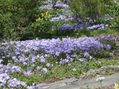 ir-130501_09957_11-33L.jpg