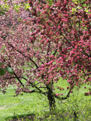ir-130501_09965_11-39P.jpg