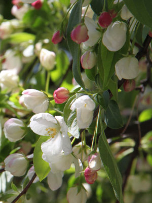ir-130501_09983_11-47P.jpg