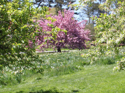ir-130501_09986_11-48L.jpg
