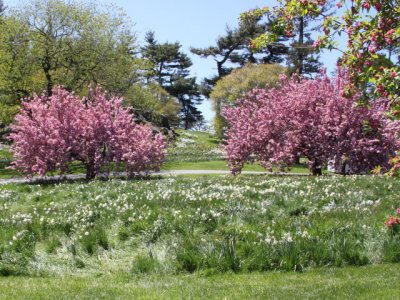 ir-130501_09987_11-48L.jpg